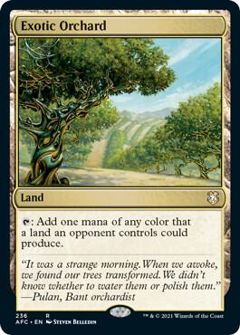 Exotic Orchard - Commander: Adventures in the Forgotten Realms (AFC)