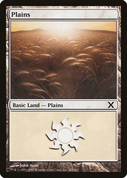 Plains (365) - 10th Edition (10E)