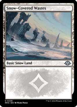 Snow-Covered Wastes (0229) - Modern Horizons 3 (MH3)